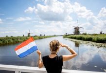prawo pracy w holandii