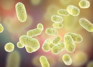 Probiotyki – Twój przyjaciel w walce o zdrowie