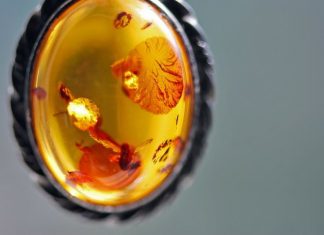 Biżuteria z bursztynu – 5 powodów, dla których warto mieć ją w swojej kolekcji
