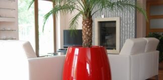 Donica w salonie